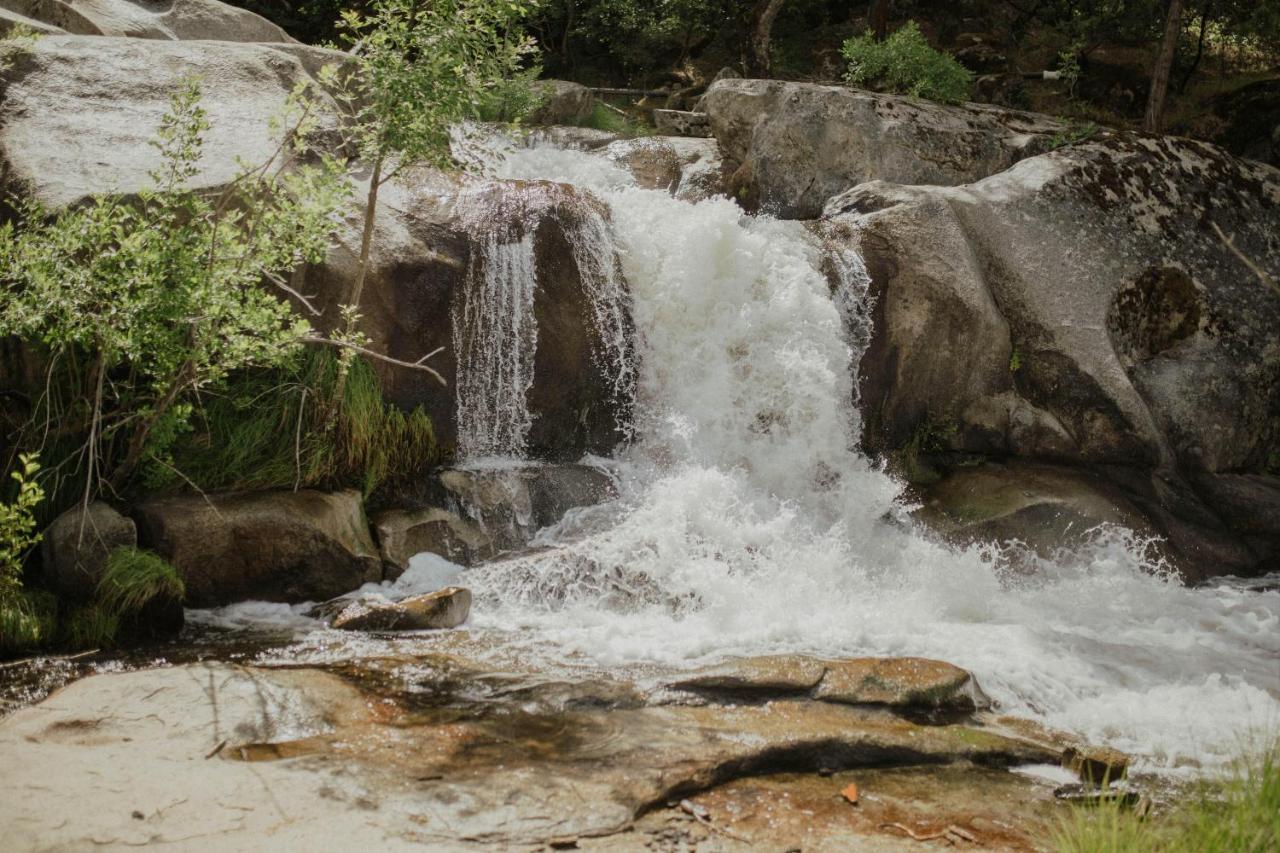 Riverfront Property With Waterfalls Near Yosemite And Bass Lake Oakhurst Eksteriør bilde